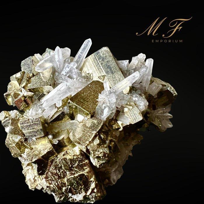 PREMIUM - pyriet ongelooflijk met kwarts Kristalcluster -, Verzamelen, Mineralen en Fossielen