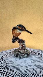 IJsvogel Taxidermie volledige montage - Alcedo Atthis - 16, Nieuw