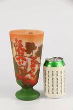 Daum Frères - Vaas - Glas