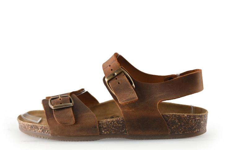 Biomodex Sandalen in maat 38 Bruin, Vêtements | Femmes, Chaussures, Envoi