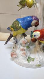 Meissen - sculptuur, Pappagalli - 38 cm - Porselein