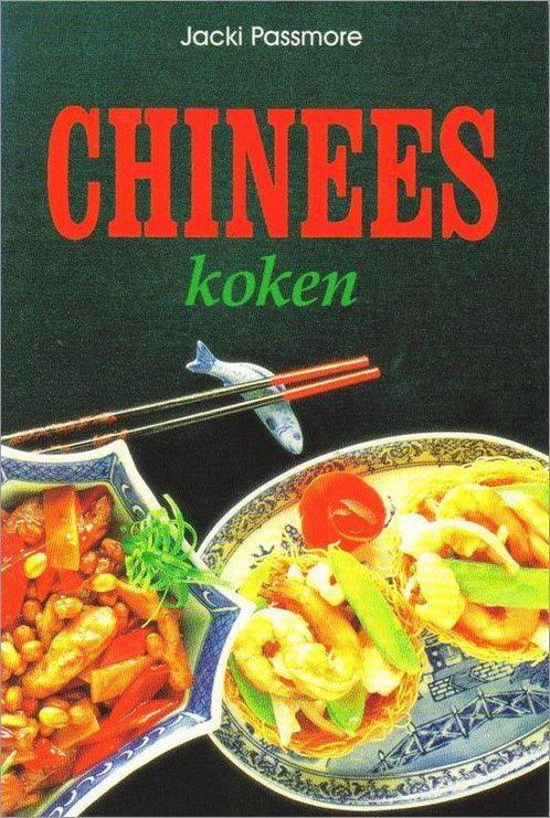 CHINEES KOKEN 9783895083860, Livres, Livres Autre, Envoi