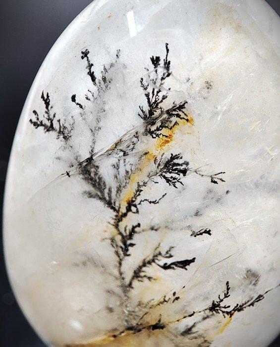 Prachtige zeer zeldzame natuurlijke mica boomkristal gratis, Verzamelen, Mineralen en Fossielen