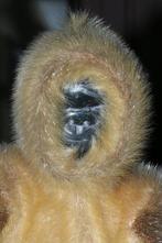 bambola Tradizionale - Pop Bambola Inuit di Cacciatore -