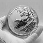 Australië. 10 Dollars 2026 – Kookaburra – 10 oz Silver coin