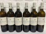 2003 Chateaux Chasse Spleen Blanc - Bordeaux - 6 Flessen