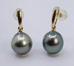 10x11mm Peacock Tahitian Pearl Drops - Oorbellen - 14 karaat