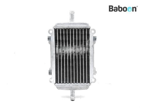 Radiateur Piaggio | Vespa GTS 310 2024, Motoren, Onderdelen | Overige, Verzenden