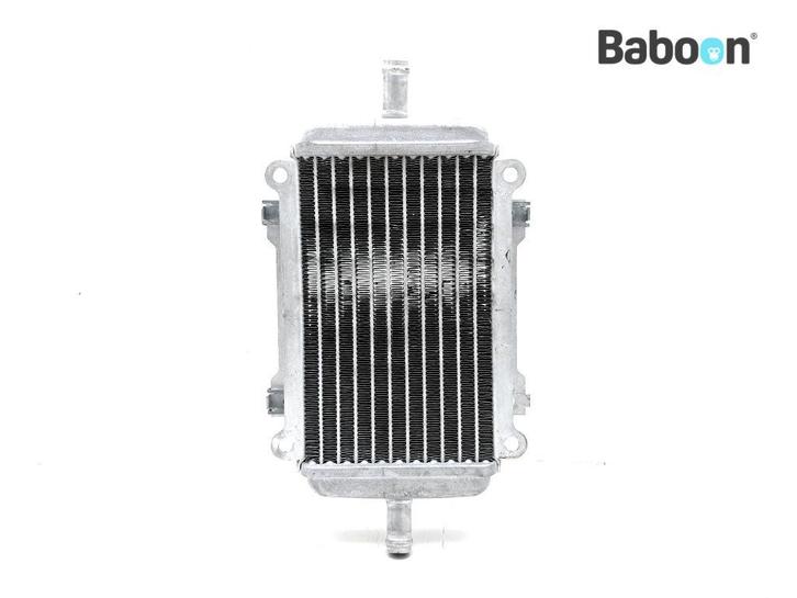 Radiateur Piaggio | Vespa GTS 310 2024, Motoren, Onderdelen | Overige, Verzenden