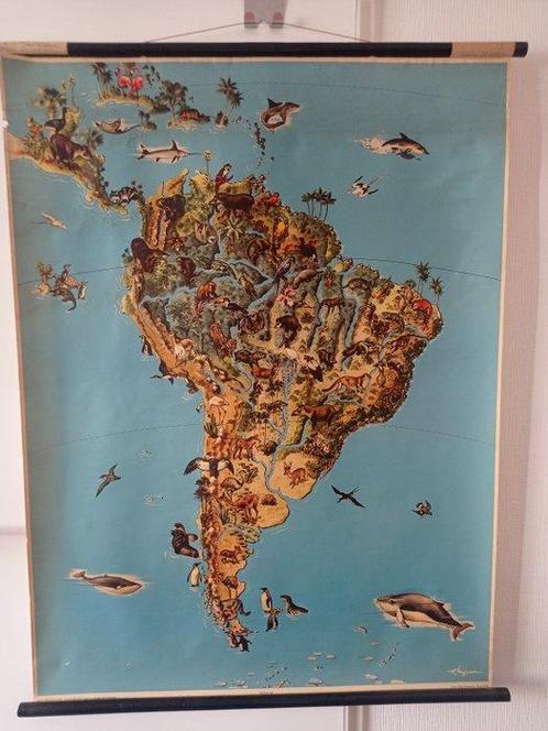Westermann - Carte scolaire - Zuid Amerika met afbeeldingen, Antiquités & Art, Curiosités & Brocante