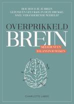 Overprikkeld brein 9789043924887 Charlotte Labee, Boeken, Verzenden, Zo goed als nieuw, Charlotte Labee