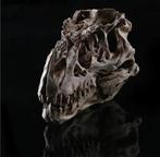 Replica Tyrannosaurus Skull - Taxidermie replica montage -, Verzamelen, Nieuw