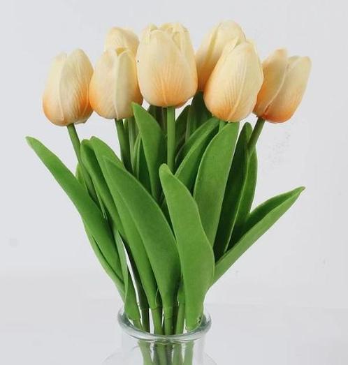 Actie tulp tulpen 33cm bundel kleur champage h / +/-10st, Maison & Meubles, Accessoires pour la Maison | Plantes & Fleurs artificielles