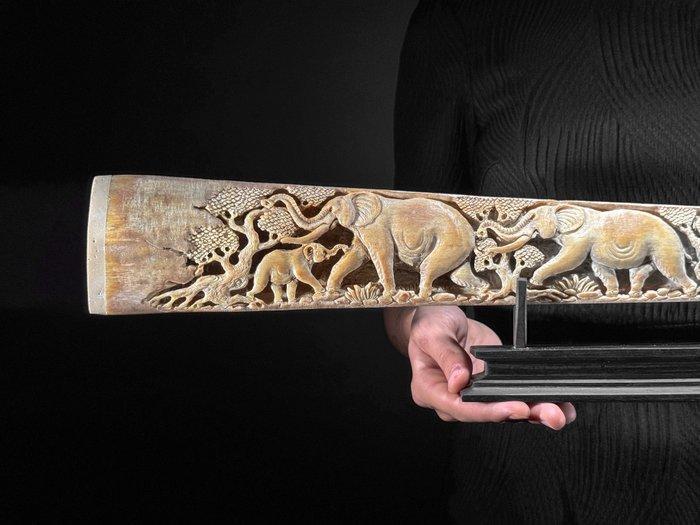 GEEN MINIMUMPRIJS - Prachtige uitgeholde grote, Antiek en Kunst, Kunst | Designobjecten