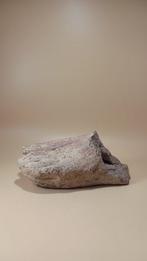 Etruscan Terracotta Votive model, van een voet (Zonder