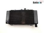 Radiateur Honda CB 250 F Hornet 1996-2008 (CB250 CB250F, Nieuw