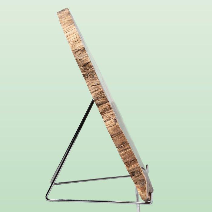 grote houten schijf in krachtige rood-beige kleuren -, Verzamelen, Mineralen en Fossielen