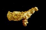 Goud , Pépite uit Suriname of Frans-Guyana- 0.88 g - (1)