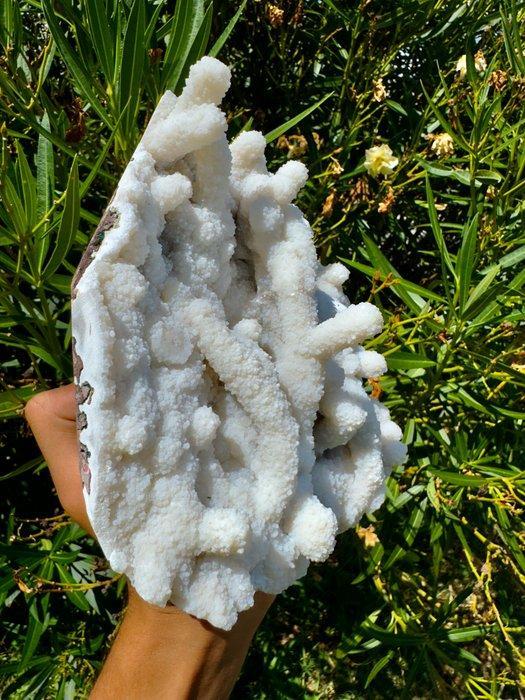 Prachtige koraal chalcedoon Kristal op matrix - Hoogte: 19, Verzamelen, Mineralen en Fossielen