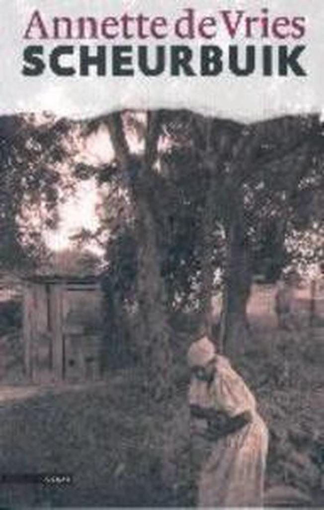 Scheurbuik 9789045011615 A. de Vries, Boeken, Romans, Gelezen, Verzenden