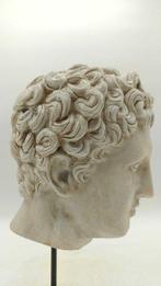 sculptuur, Testa di Eros - 33 cm - marmerstof