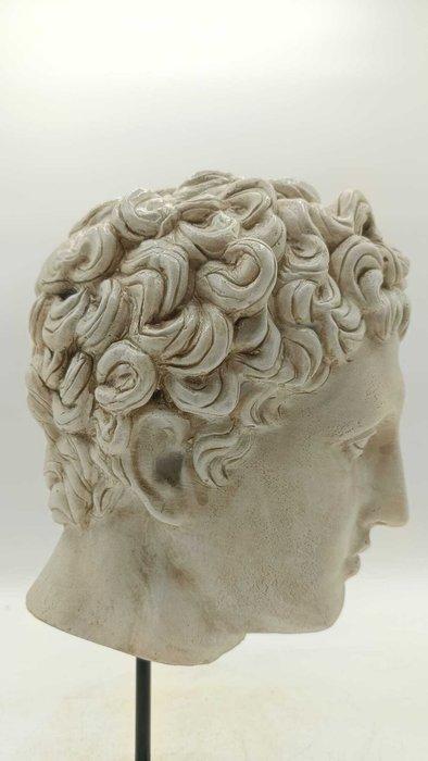 sculptuur, Testa di Eros - 33 cm - marmerstof, Antiquités & Art, Curiosités & Brocante