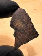 Mooie inclusie kristal van Mesosiderite NWA 14036., Verzamelen, Mineralen en Fossielen