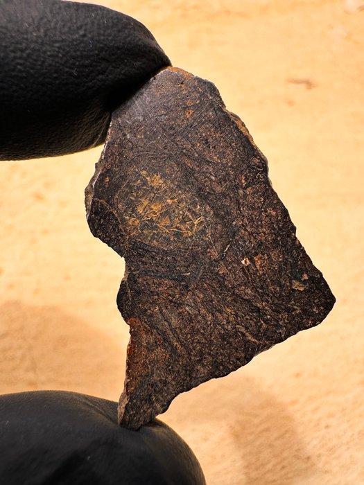Mooie inclusie kristal van Mesosiderite NWA 14036., Verzamelen, Mineralen en Fossielen
