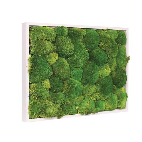 Mosschilderij Bolmos 60x60 cm Gebroken Wit, Huis en Inrichting, Woonaccessoires | Lijsten, Verzenden