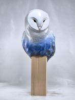 Federico Alibrio - Blue Barn owl