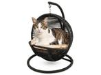 Veiling - Bella Home - Kattenmand Zwart met creme kussen, Dieren en Toebehoren, Kattenmanden, Nieuw