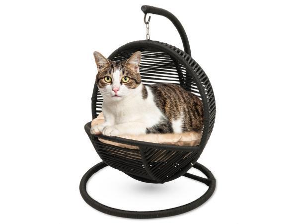 Veiling - Bella Home - Kattenmand Zwart met creme kussen, Dieren en Toebehoren, Kattenmanden