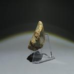 Néolithique Silex Outil en silex. Culture de Michelsberg