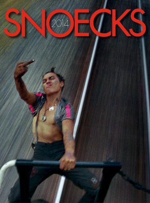Snoecks 2014 9789077885284, Boeken, Kunst en Cultuur | Beeldend, Gelezen, Verzenden