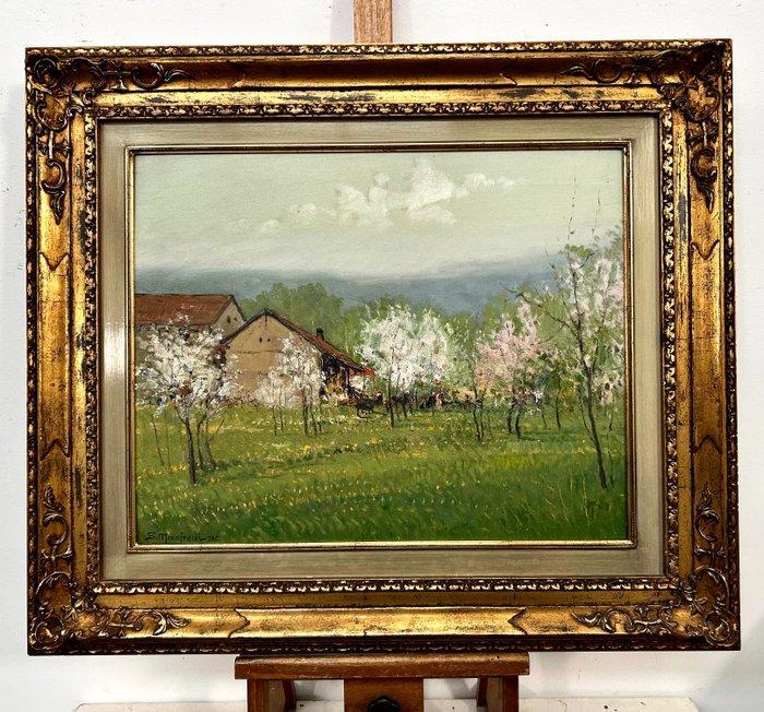 Sergio Manfredi (1932) - Paesaggio Primaverile, Antiek en Kunst, Kunst | Schilderijen | Klassiek