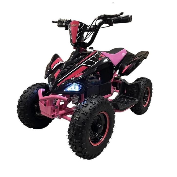 36 volt elektrische Quad met 1000 watt aandrijving, Kinderen en Baby's, Speelgoed | Buiten | Accuvoertuigen, Ophalen of Verzenden