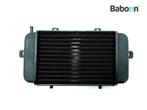 Radiateur BMW C1 (0191) (7652843), Motoren, Verzenden, Nieuw
