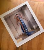 Jav Rubín - Principe de las nubes II