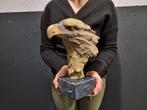 Beeld, Large Eagle Head - 28 cm - mgo, Antiek en Kunst