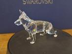 Swarovski - Figurine - German Shepherd - 235484 - Cristal
