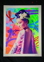 Socrate - Wildflower