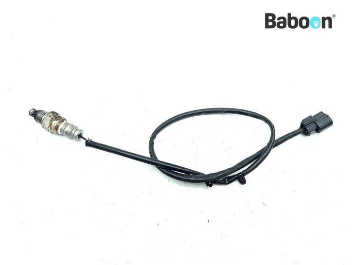 Capteur doxygène Honda MSX 125 2014-2016 (MSX125 JC61A), Motoren, Onderdelen | Honda, Verzenden
