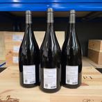 2024 M. Chapoutier, Belleruche - Côtes-du-rhône - 3 Magnums, Verzamelen, Nieuw