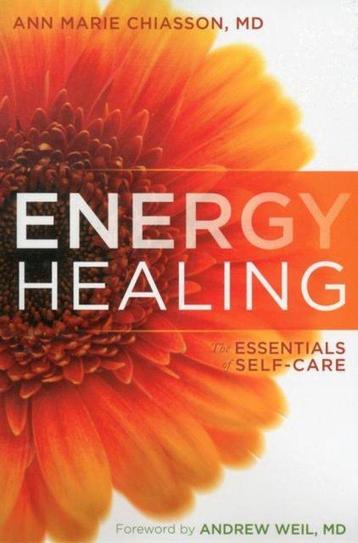 Energy Healing 9781604078923 Ann Marie Chiasson, Verzenden, Ann Marie Chiasson