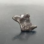 Sikhote-Alin meteoriet Uitstekende kwaliteit,