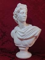 Beeld, Apollo del Belvedere - 56 cm - terracotta dipinta -, Antiek en Kunst