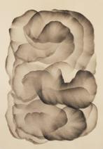 Artur Polar - Idol nº70 - XL - No Reserve