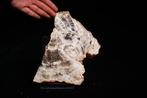 Enorme plak prachtig gekleurd fossiel hout - Gefossiliseerd, Verzamelen