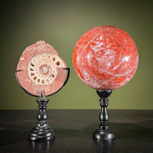 Superbe ensemble dammonites avec sphère de jaspe Reg, Antiek en Kunst, Kunst | Designobjecten