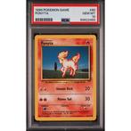 Pokémon - 1 Graded card - Ponyta 60/102 Base Set - PSA 10